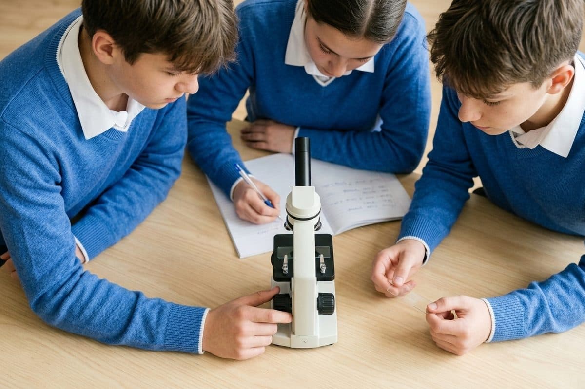 Alumnos trabajando con un microscopio, vistos desde arriba